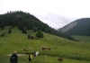 ArzmooshuettePfaffingerJugend (24)