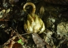 Jugend_Arzmooshuette_2012 (11)