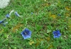 Jugend_Arzmooshuette_2012 (22)