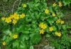 Jugend_Arzmooshuette_2012 (23)