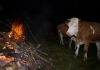 Jugend_Arzmooshuette_2012 (35)