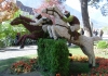 PfaffingerMusi_Ausflug_Suedtirol_2008 (46)