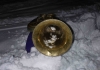 PfaffingerMusi_Jahresausklang_2014 (12)