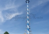 PfaffingerMusi_Maibaum-aufstellen_2024_Handy-29