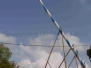 PfaffingerMusi_Maibaum_Forsting_2014