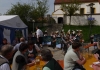 PfaffingerMusi_Maibaum_Pfaffing_2013 (10)