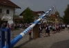 PfaffingerMusi_Maibaum_Pfaffing_2013 (25)