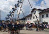 PfaffingerMusi_Maibaum_Pfaffing_2023_Handy-1