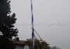 PfaffingerMusi_Maibaum_Rettenbach_2016_PW (34)